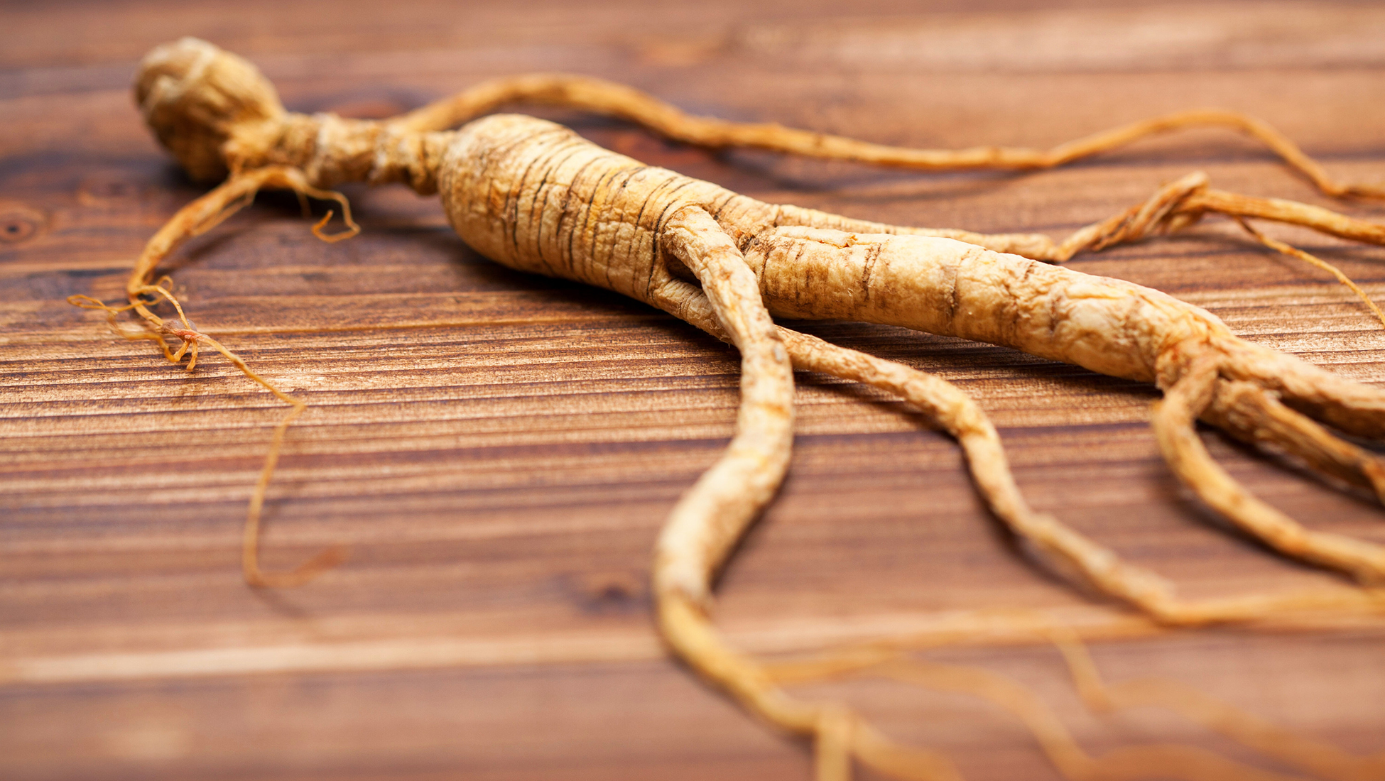 Beste Ginseng supplementen